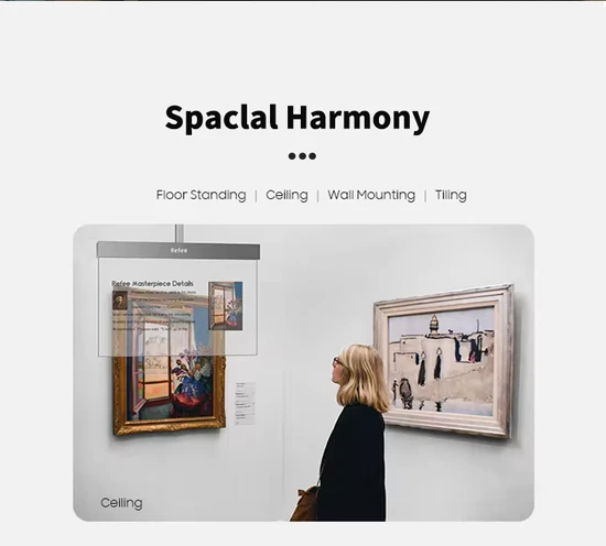 Foldable Portable Transparent OLED Screen 