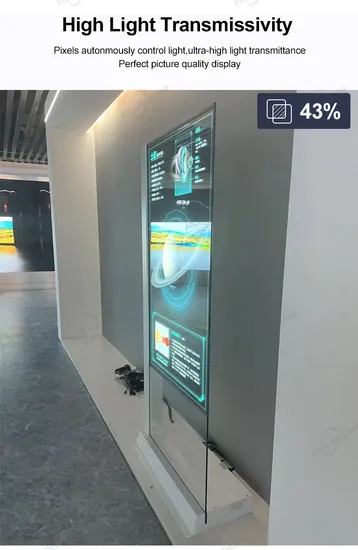55inch Digital Signage and Display Transparent OLED Display Transparent OLED Screen 