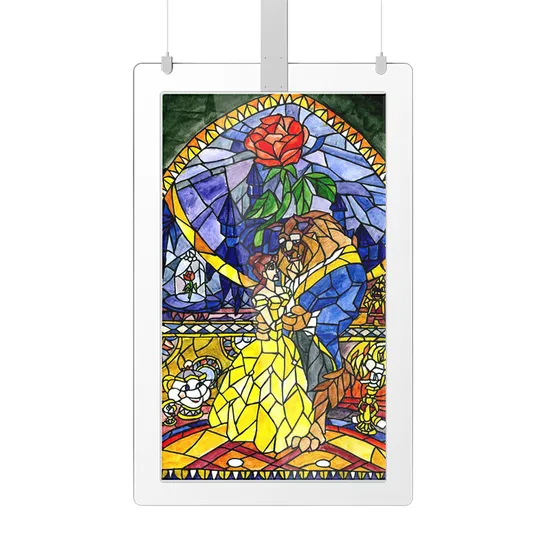 Double Sided LCD Hanging Display for Indoor Transparent Window Advertising 
