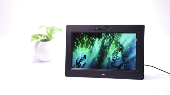 Hot Selling Product 8 Inch Multi