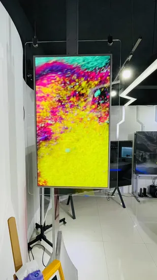 Hanging Double Sided Transparent LCD Screen Thin Digital Signage OLED Display 